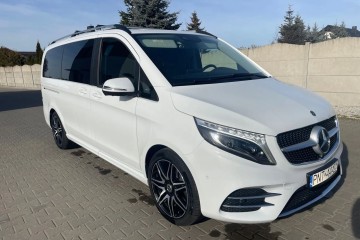V 300, AMG